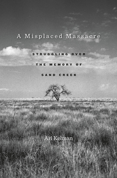 A Misplaced Massacre book cover
